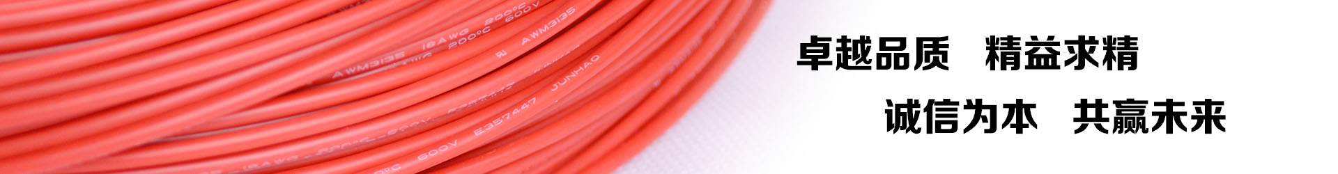 PA尊龍凱時(shí)電線