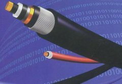 新聞動態(tài)-PA尊龍凱時