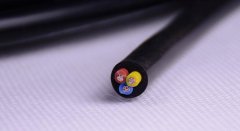 新聞動態(tài)-PA尊龍凱時