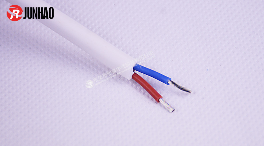 耐高溫白色二插電源線產(chǎn)品圖