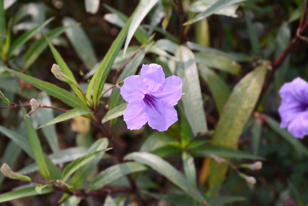 PA尊龍凱時 - 人生就是搏!