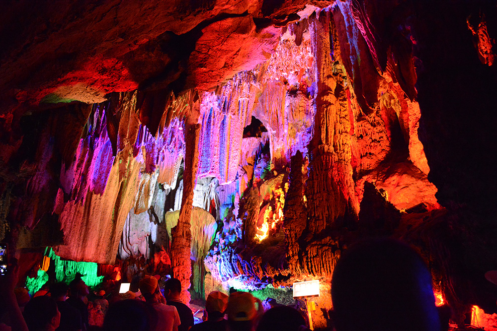 PA尊龍凱時 - 人生就是搏!